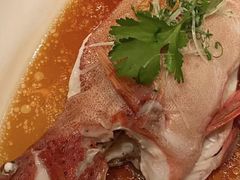 -夜上海(新天地店)