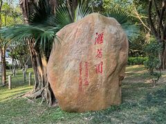 -深圳国际园林花卉博览园