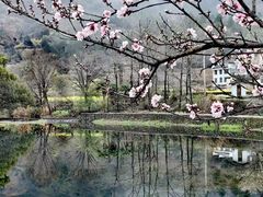 -婺源风景区