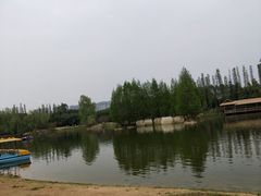 -秀丽东方