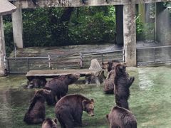 -深圳野生动物园