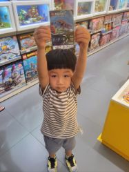 -乐高授权专卖店(岭南站NOVA店)
