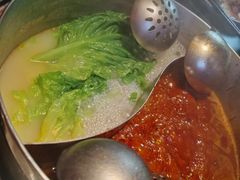 -淼福猪肚鸡·椰子鸡火锅(大沙地店)