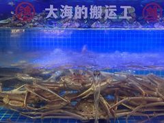 -驻海渔市(置信店)