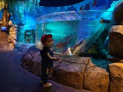 -沈阳海洋探索中心