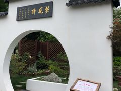 -东平国家森林公园