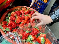 -江杨农产品批发市场