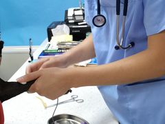 -康成宠物医院24H·CT·核磁共振