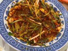 -凯鸽酒楼(大同振兴街店)