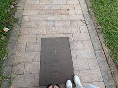 -万绿园