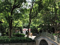 -西湖天地