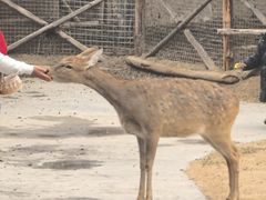 -祥源·阜阳生态乐园