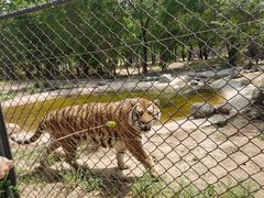 -北京野生动物园