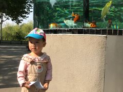 -石家庄市动物园