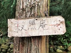 -寂照庵