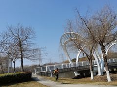 -九里河湿地公园