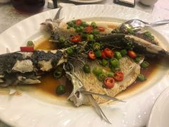 花椒蒸鲩鱼-中山国际酒店中餐厅