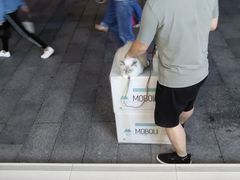 -袖虎·猫馆(体育西路店)