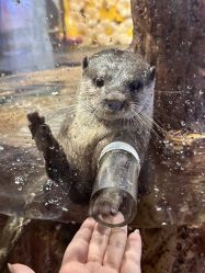 -Zoolung Zoolung动物主题公园(海信广场店)