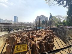 -昆明动物园