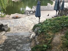 -万柳阁小馆·花园餐厅(龙潭湖店)