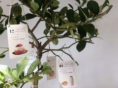 -Oasis coffee燕谷咖啡(公信店)