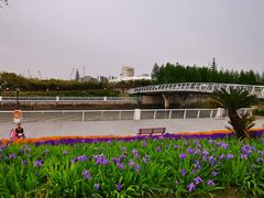 -上海山野camping·户外天幕烧烤·团建拓展营地