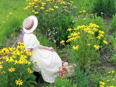 -春花秋色城市公园