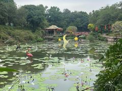 -广州莲花山旅游区