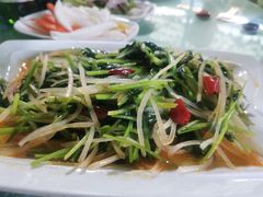 -马白开来特色羊排揪片子  (总店)