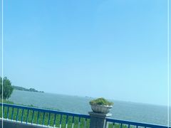 -合肥滨湖国家森林公园