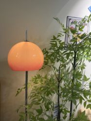 -变美丽半永久纹眉连锁·机器野生眉•洗眉