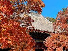 -香山公园