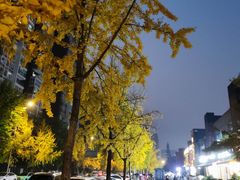 -庶民居中餐馆(花土店)