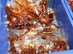 -食神又名厕所兔