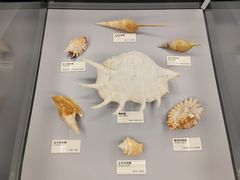 -天津古林古海岸遗迹博物馆