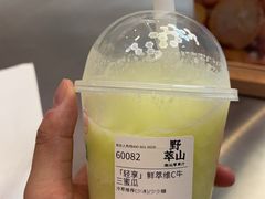 -野萃山·潮汕厚果汁(十亩地店)