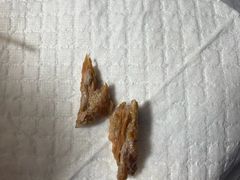 -美联众合动物医院·24h转诊中心