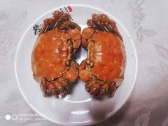 -丁老爷子苏香圆