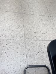 -PE SALON