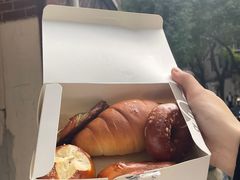 -WHEN PIGS FLY当猪飞