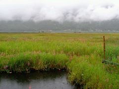 android_upload_pic-腾冲北海湿地