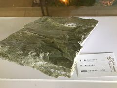 景点-甘肃地质博物馆