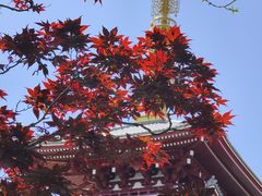-浅草寺