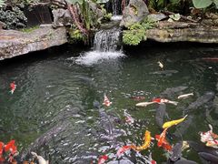 -新世纪大酒楼·30年南海菜