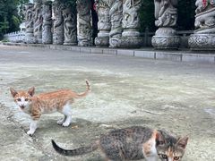 -宝通禅寺