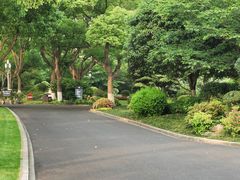 -浙江西子宾馆·瑶园咖啡厅