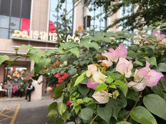 -广西壮族自治区博物馆