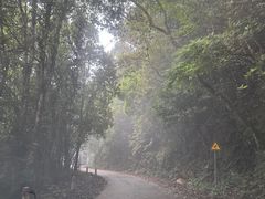 -海南热带雨林国家公园吊罗山景区