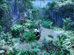 -河川生态园